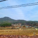 자성농장 이미지