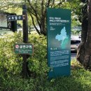 용마루길(데크끝) 이미지