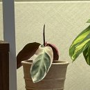 거목상사