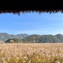 곡성(순천) 이미지