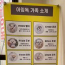 아잉독 애견카페 네이버블로그