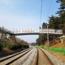 엘에스디자인 이미지