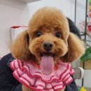 클로에 살롱 이미지