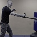 PR-24는 흔히 '톤파(Tonfa)' 형태의 측면 손잡이가 달린 경찰용 진압봉 이미지