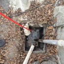 병천농장 이미지