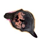 신민수 카카오 검색결과