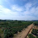 중천농장 이미지