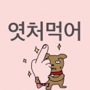 여주-0509 | 힜