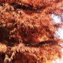 함평천지길 이미지