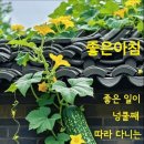 인생은 갈피 한 장 이미지