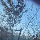 황청2리 마을회관 이미지