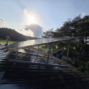 미숙 태양광 이미지