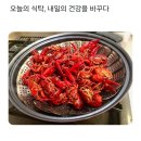 민물가재 이미지