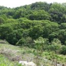 이륙공인중개사사무소 이미지