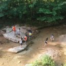 물만난 물고기 이미지