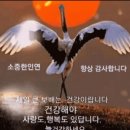 ☆ 감동 , 울림이 있는 ~ 이미지