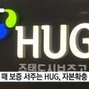 국토부-금융당국 '전세대출 엇박자'...전세보증 '빨간불' 이미지