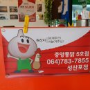 제주마농 이미지