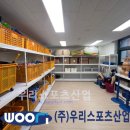 율현초등학교 이미지