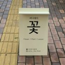 써니데이(Sunny Day) 이미지