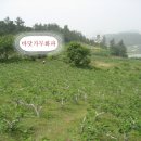 자연농원 이미지