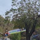 왕성초등학교 이미지