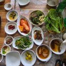 도토리민박 | [전남 구례] 지리산속에 숨은 닭구이맛집! 당치민박산장 방문후기