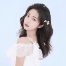 달씨 이미지