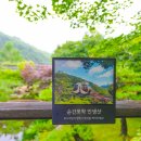 아랫두대경로당 | 곤지암 화담숲 예약 단풍 모노레일