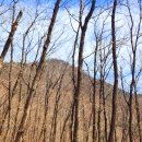 기룡산정상 이미지