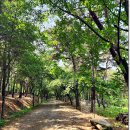 아라메길(4) 이미지