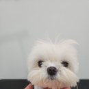 아리미용실