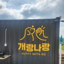 부산근교 애견카페/김해 애견카페/ 김해 애견운동장 /개랑 나랑/ 아이랑가기좋은곳