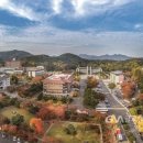 동국대학교 이미지