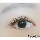 활짝핀 속눈썹 이미지