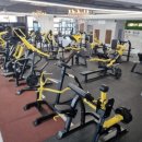 팀터틀랫 김해내외점 이미지