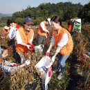 백송태양광 이미지