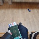 어사정식당 | 12.12 도쿄 1일차 / 이 정도면 명예니혼진..의 첫 혼성 도미토리 방문기 [이바라키공항🛩, 언플랜신주쿠...