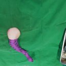 수송반려동물병원 이미지