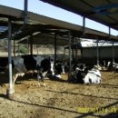 사방초등학교 이미지