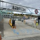 바보형제 쭈꾸미 이미지