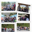 로뎀나무협동조합 이미지