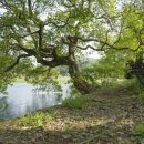 행정사 대신사무소 이미지