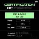 소나무스포츠 | 2025 센텀 나이트 워크 16km 참가 후기｜쉽게 봤다가 제대로 걷고 온 솔직후기
