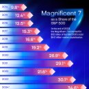 차트: S&amp;P 500의 점유율로서 웅장한 7개 시가총액 이미지