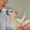 재진축산 이미지