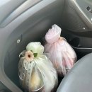 훈이청과 이미지