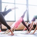 빈야사요가 초급반 이미지