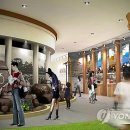 웰빙식품 이미지
