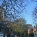 카페cafe toast | 더블린 브런치 맛집 bibi's cafe portobello 후기｜현지인 추천 브런치 카페